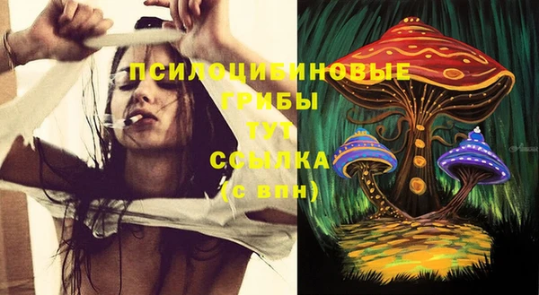 соль ск Абаза