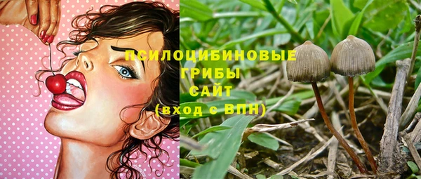 эйфоретик Абинск