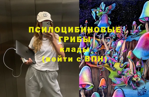 соль ск Абаза