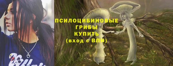соль ск Абаза