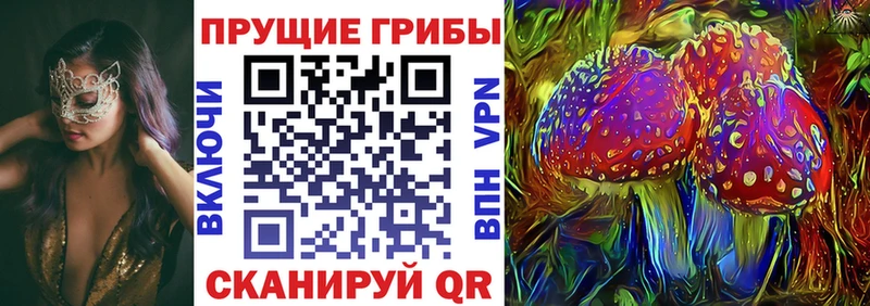 Псилоцибиновые грибы Psilocybe  мориарти телеграм  Кандалакша  наркота 