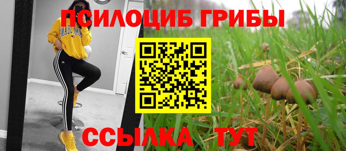 дарнет шоп  Вход с VPN  Кандалакша  Псилоцибиновые грибы прущие грибы 